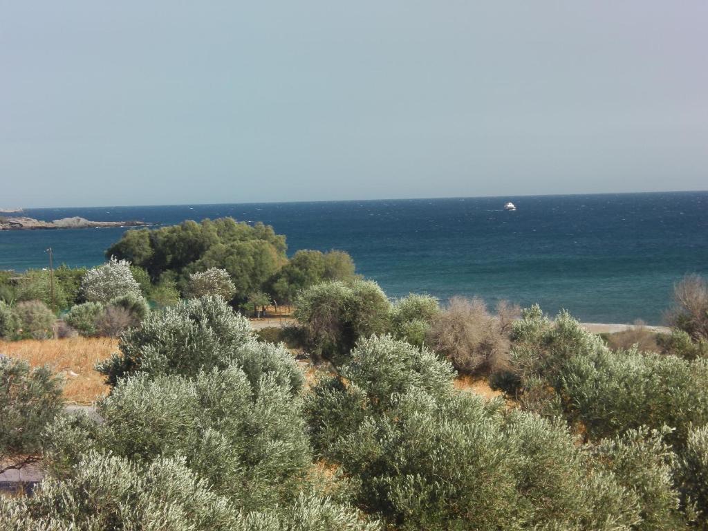 Serenity Hideaway Палеохора Номер фото