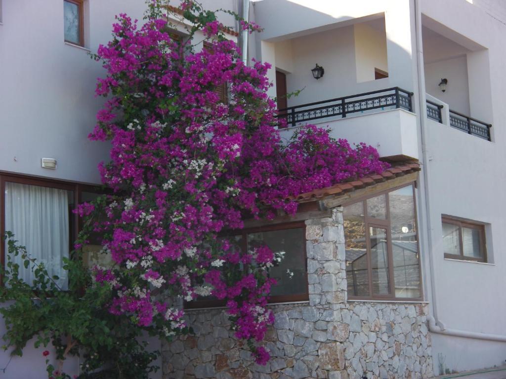 Serenity Hideaway Палеохора Номер фото
